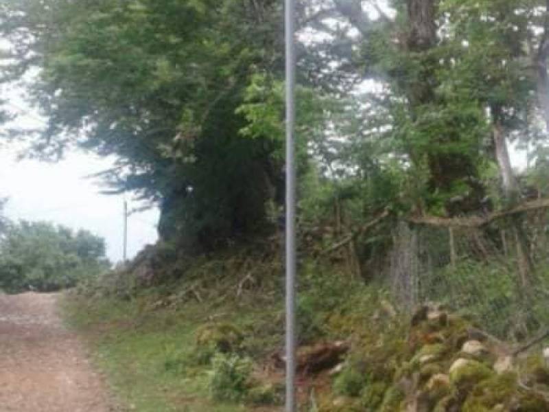 ცაგერის მუნიციპალიტეტში დასრულდა ,,სოფლის მხარდაჭერის პროგრამით" გათვალისწინებული...